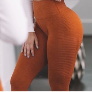 Alphalate Halo Leggings 2017